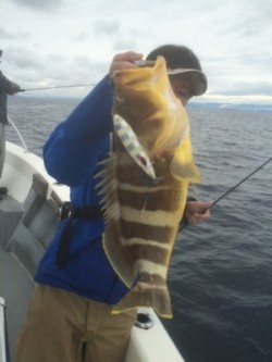 Blue.win 海人丸 釣果