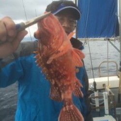 Blue.win 海人丸 釣果