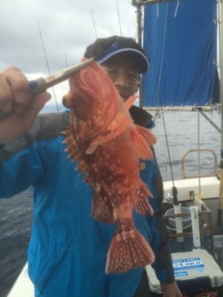 Blue.win 海人丸 釣果