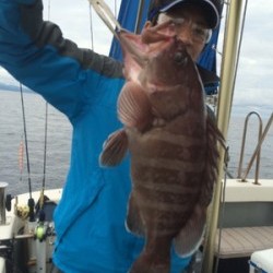 Blue.win 海人丸 釣果