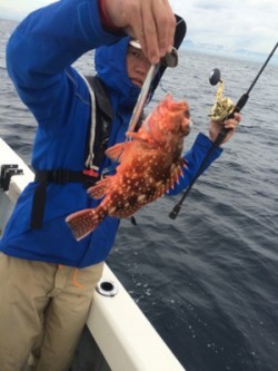 Blue.win 海人丸 釣果