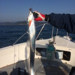 Blue.win 海人丸 釣果