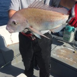 Blue.win 海人丸 釣果