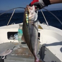 Blue.win 海人丸 釣果