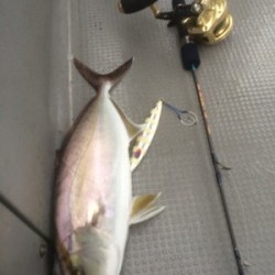 Blue.win 海人丸 釣果