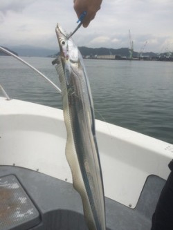 Blue.win 海人丸 釣果