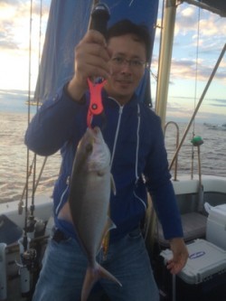 Blue.win 海人丸 釣果