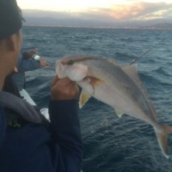 Blue.win 海人丸 釣果