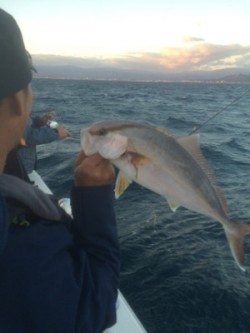 Blue.win 海人丸 釣果