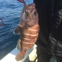 Blue.win 海人丸 釣果