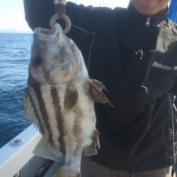 Blue.win 海人丸 釣果