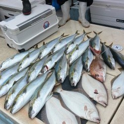 宝生丸 釣果