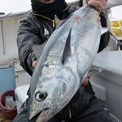 宝生丸 釣果