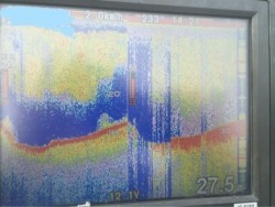 「LaGooN」蒼陽丸 日和号　 釣果