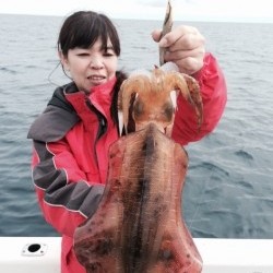 エヌスタイル 釣果