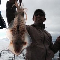 エヌスタイル 釣果