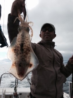 エヌスタイル 釣果