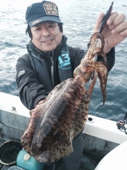 エヌスタイル 釣果