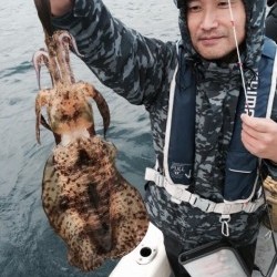 エヌスタイル 釣果