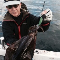 エヌスタイル 釣果