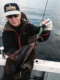 エヌスタイル 釣果