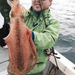 エヌスタイル 釣果