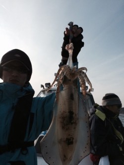 エヌスタイル 釣果