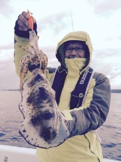 エヌスタイル 釣果