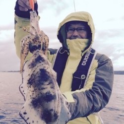 エヌスタイル 釣果