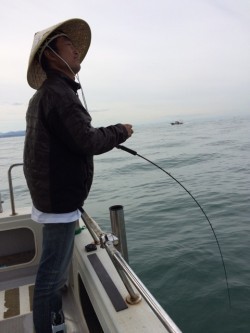 浜栄丸 釣果