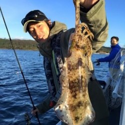 エヌスタイル 釣果