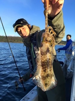エヌスタイル 釣果