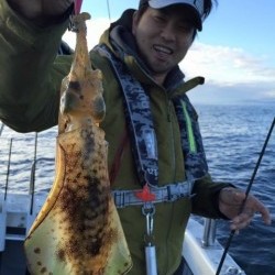 エヌスタイル 釣果
