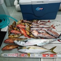 チャモロ 釣果