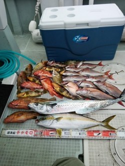チャモロ 釣果