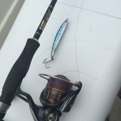 「LaGooN」蒼陽丸 日和号　 釣果