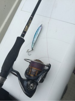 「LaGooN」蒼陽丸 日和号　 釣果