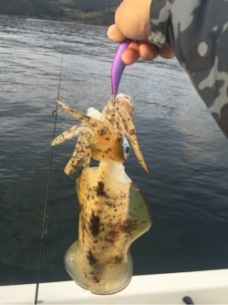 「LaGooN」蒼陽丸 日和号　 釣果