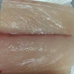 「LaGooN」蒼陽丸 日和号　 釣果