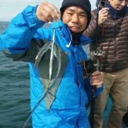みやけ丸 釣果