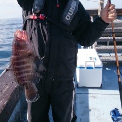 海龍丸 釣果