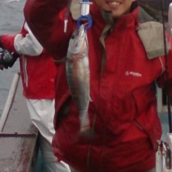 海龍丸 釣果