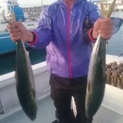 エムズジャーク（M’s JERK） 釣果