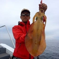 South Current 釣果