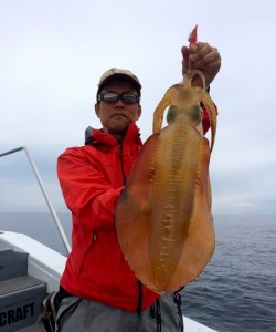 South Current 釣果