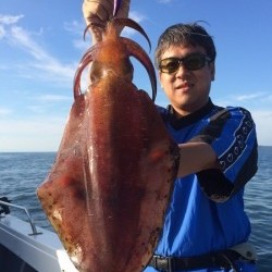 South Current 釣果