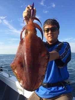 South Current 釣果