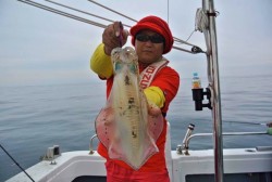 South Current 釣果