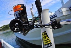 South Current 釣果