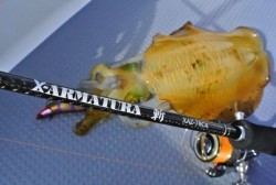 South Current 釣果